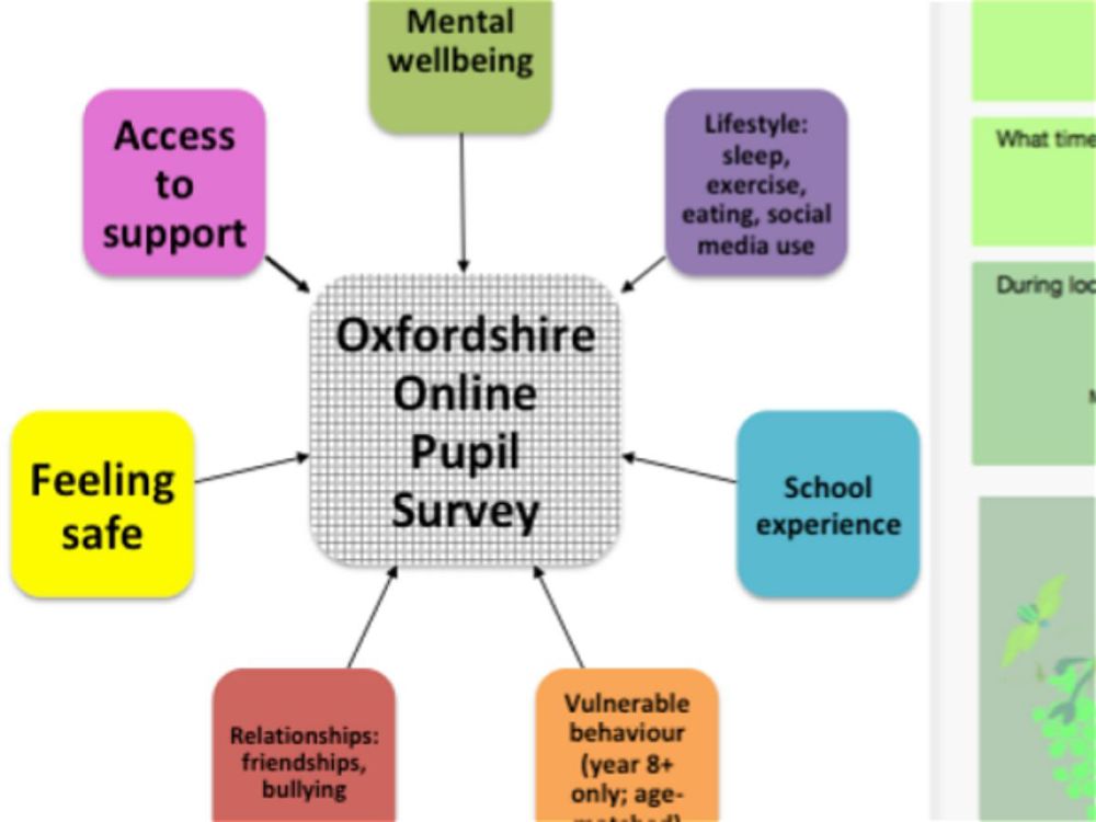 Online Pupil Survey 2020- Lockdown Edition - Image