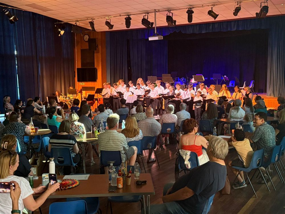 Summer Concert - Image