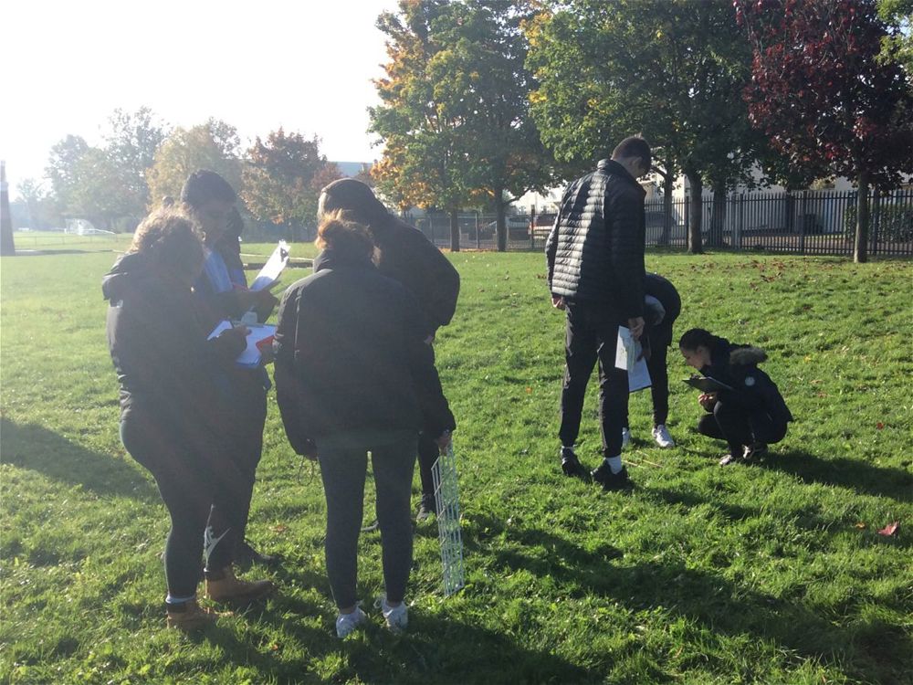 Year 13 Biology Fieldwork - Image