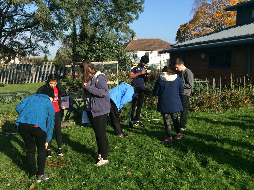 Year 13 Biology Fieldwork - Image