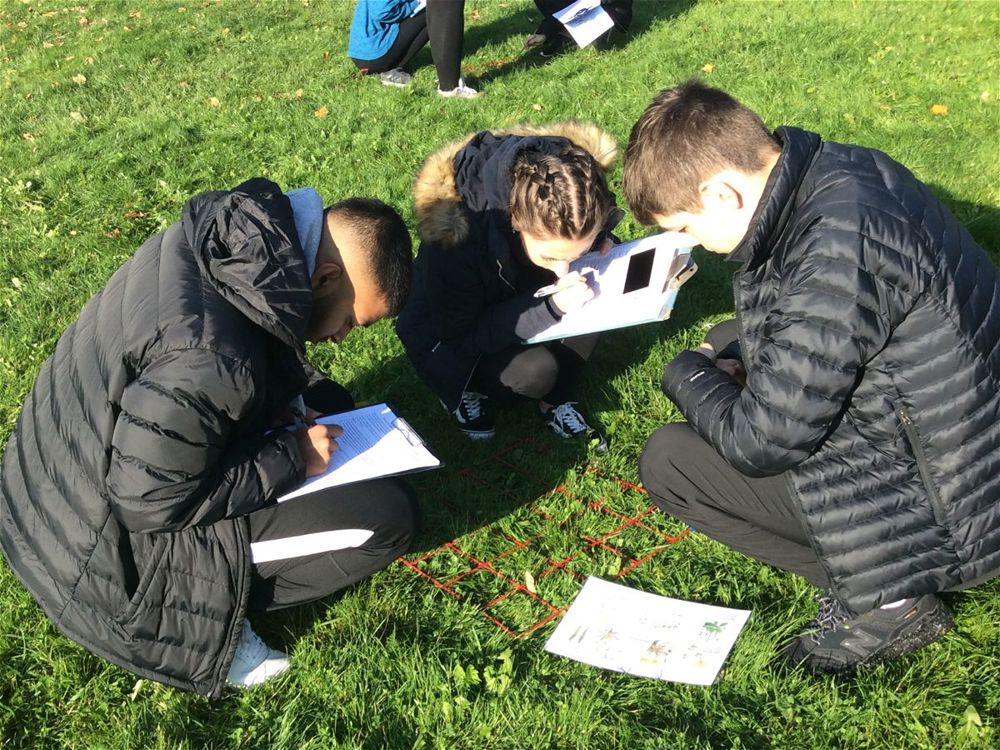 Year 13 Biology Fieldwork - Image