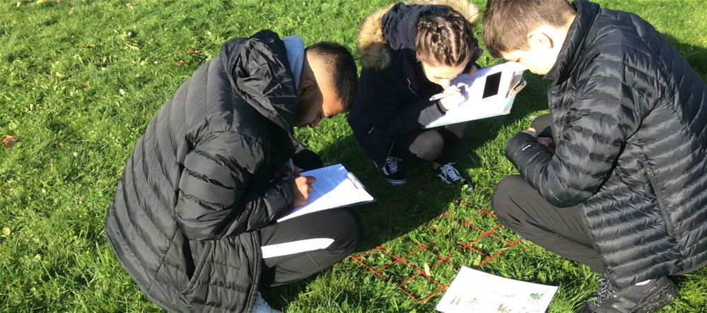 Year 13 Biology Fieldwork