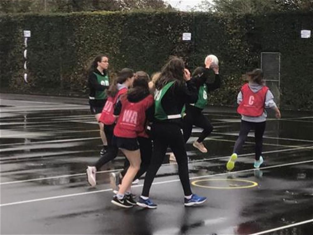 Year 12 Netball - Image