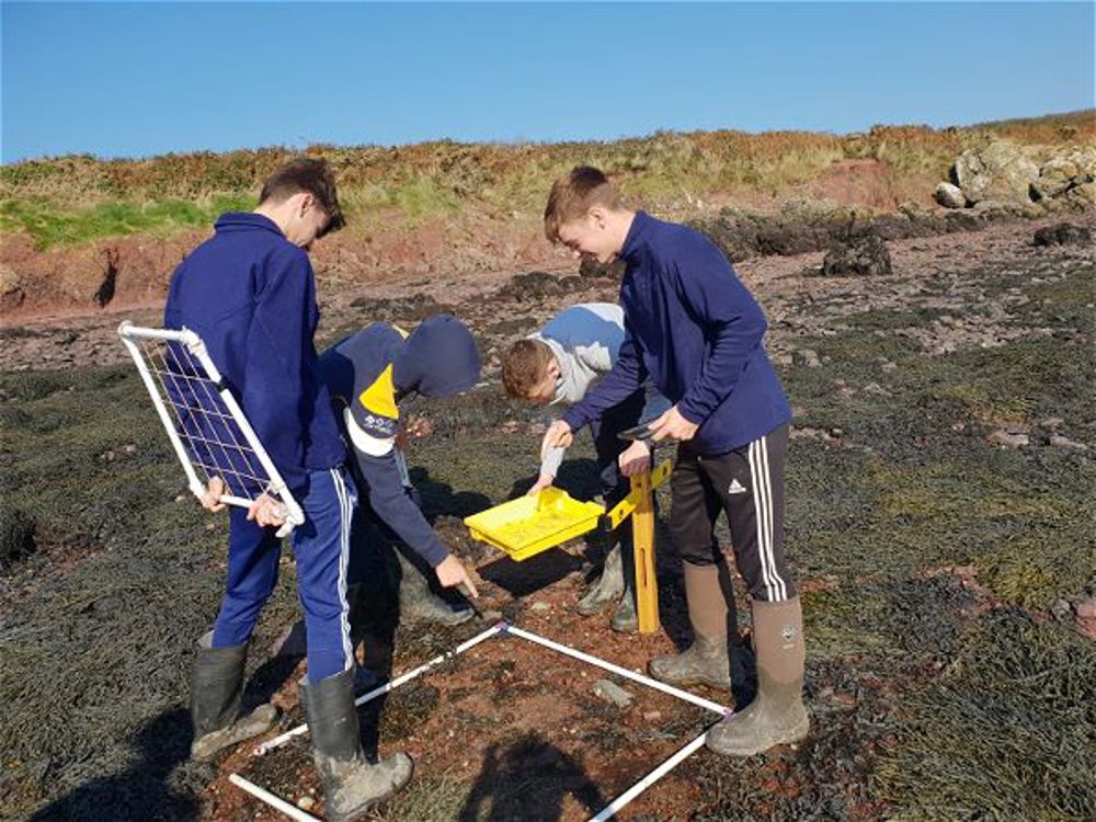 Biology field trip in Pembrokeshire - Image