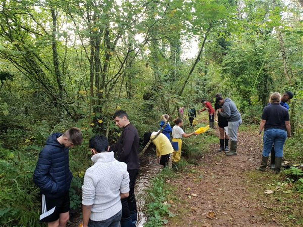 Biology field trip in Pembrokeshire - Image