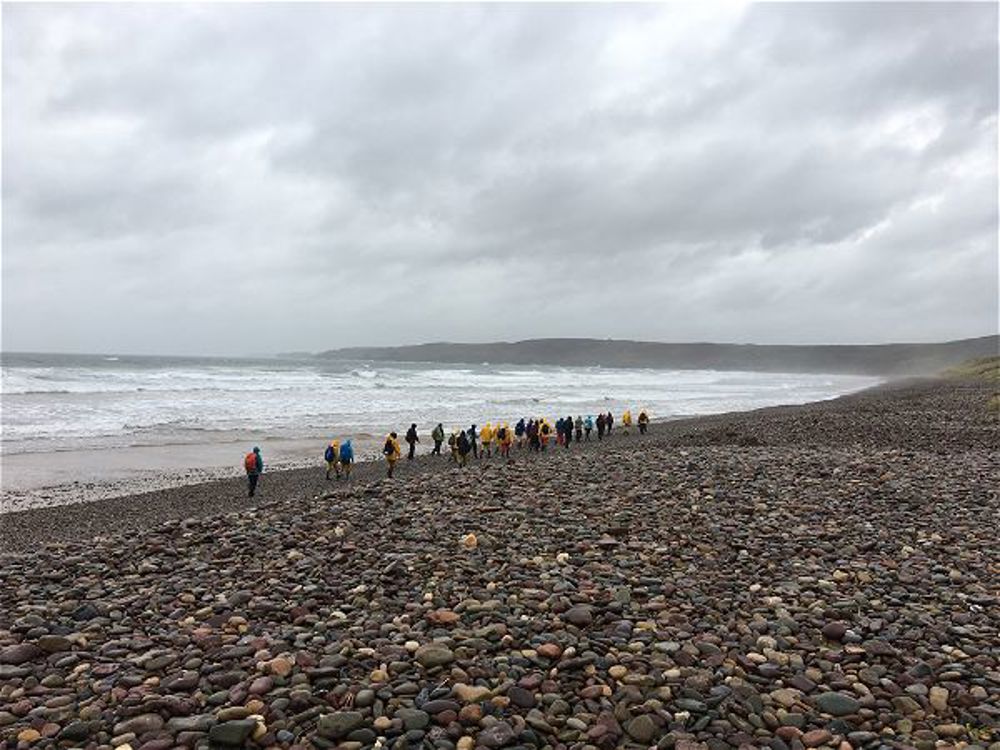 Biology field trip in Pembrokeshire - Image