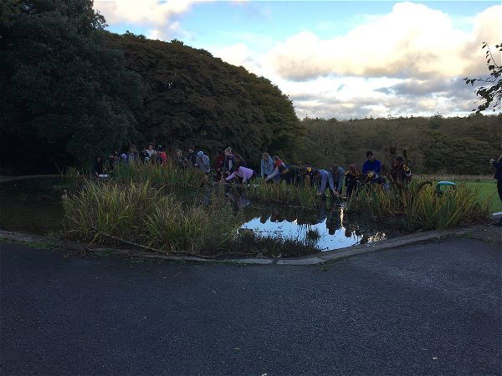 Biology field trip in Pembrokeshire - Image