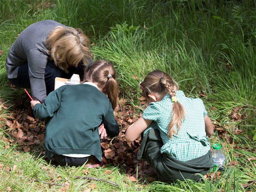 Longlevens Infant School pond dips at Rich's - Image