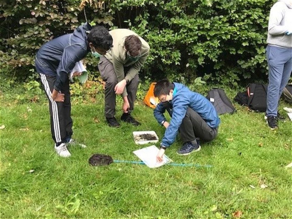 Biology Fieldwork  - Image