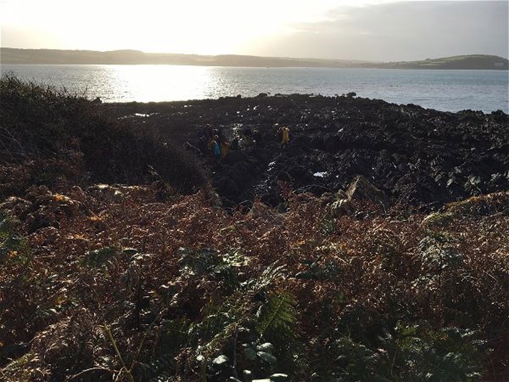 Biology trip to Pembrokeshire - Image